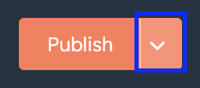 Publish button