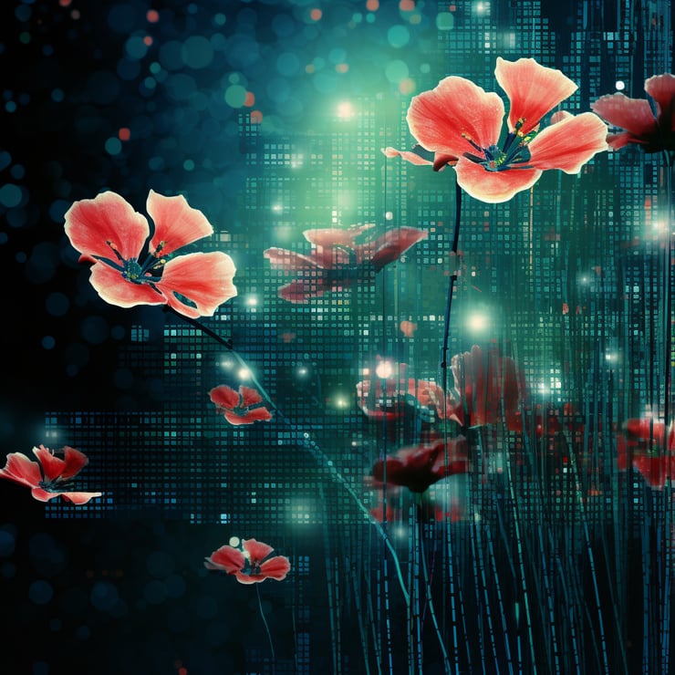 matrix flowers on a matrix background